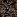 ANIMAL PRINT XLIII