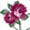 MINI FLORES III